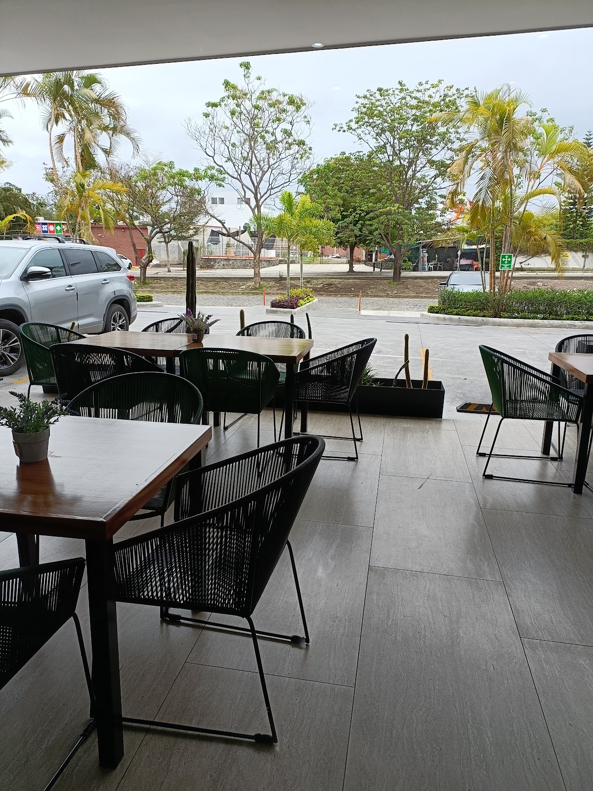 leetx-google-photo-45550-1