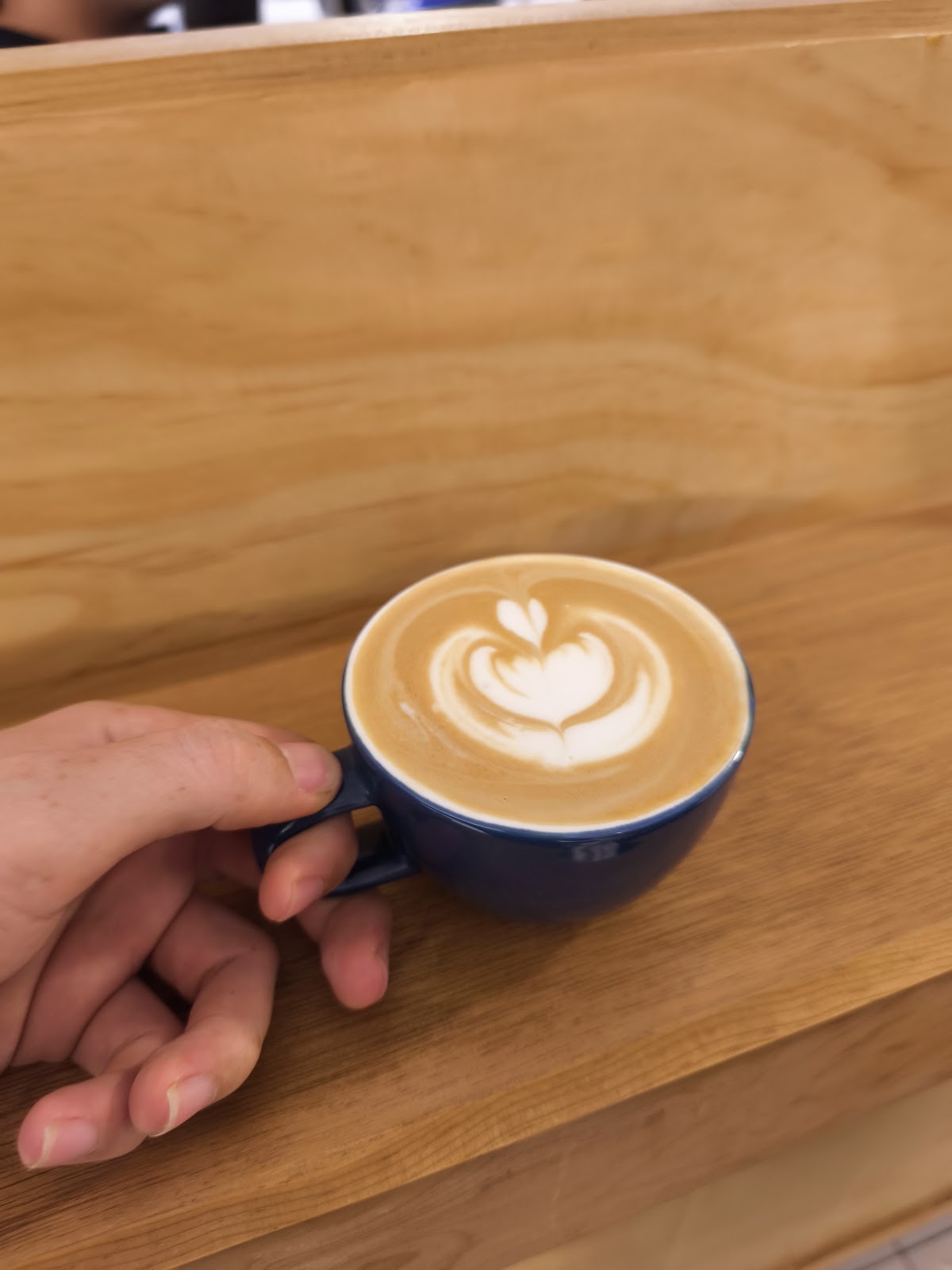 leetx-google-photo-45559-4 leetx-google-photo-45559-4