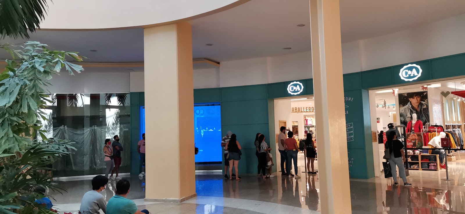 leetx-google-photo-45708-1