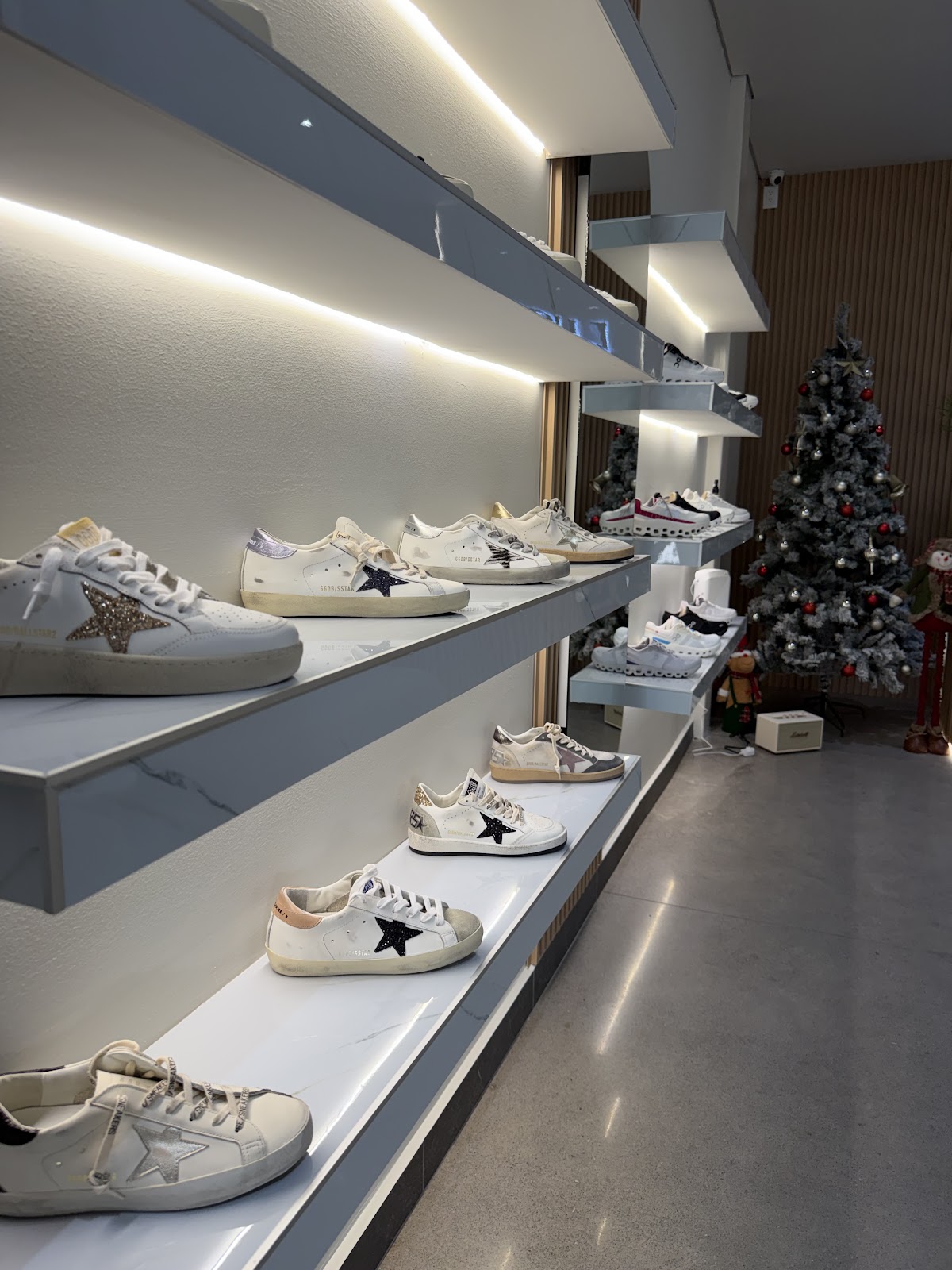 leetx-google-photo-45773-3 leetx-google-photo-45773-3