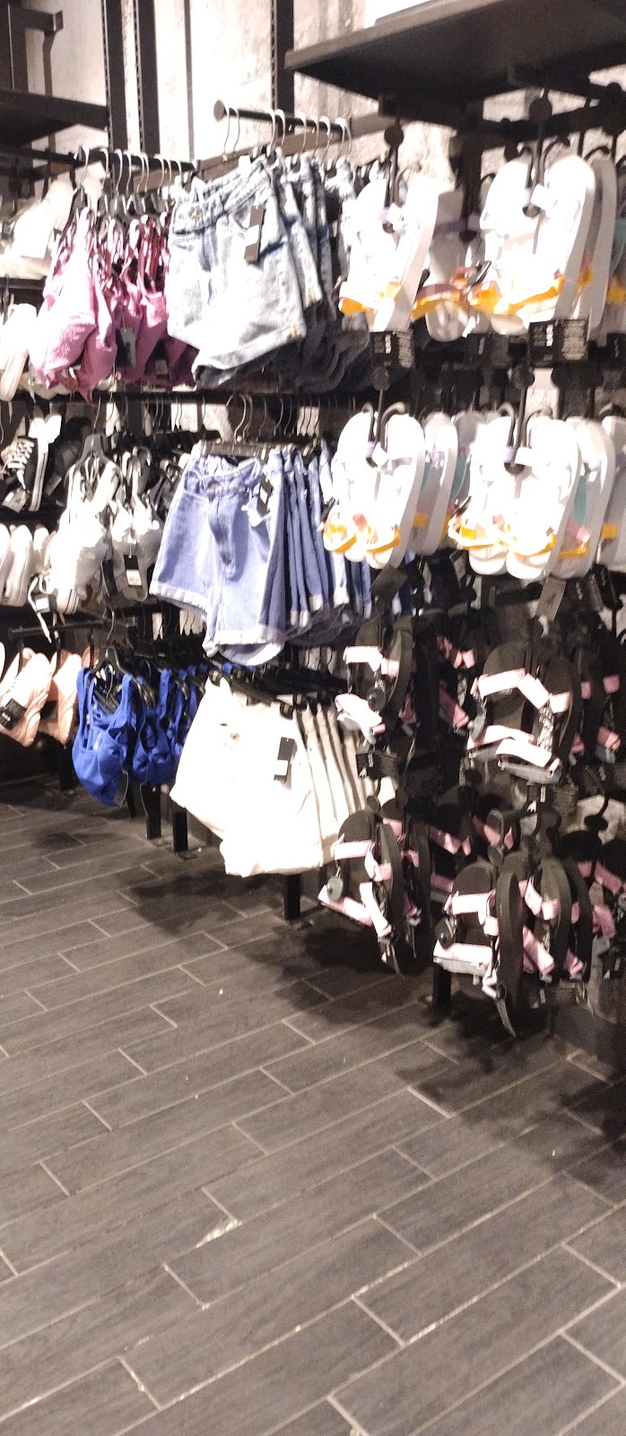 leetx-google-photo-45779-6 leetx-google-photo-45779-6