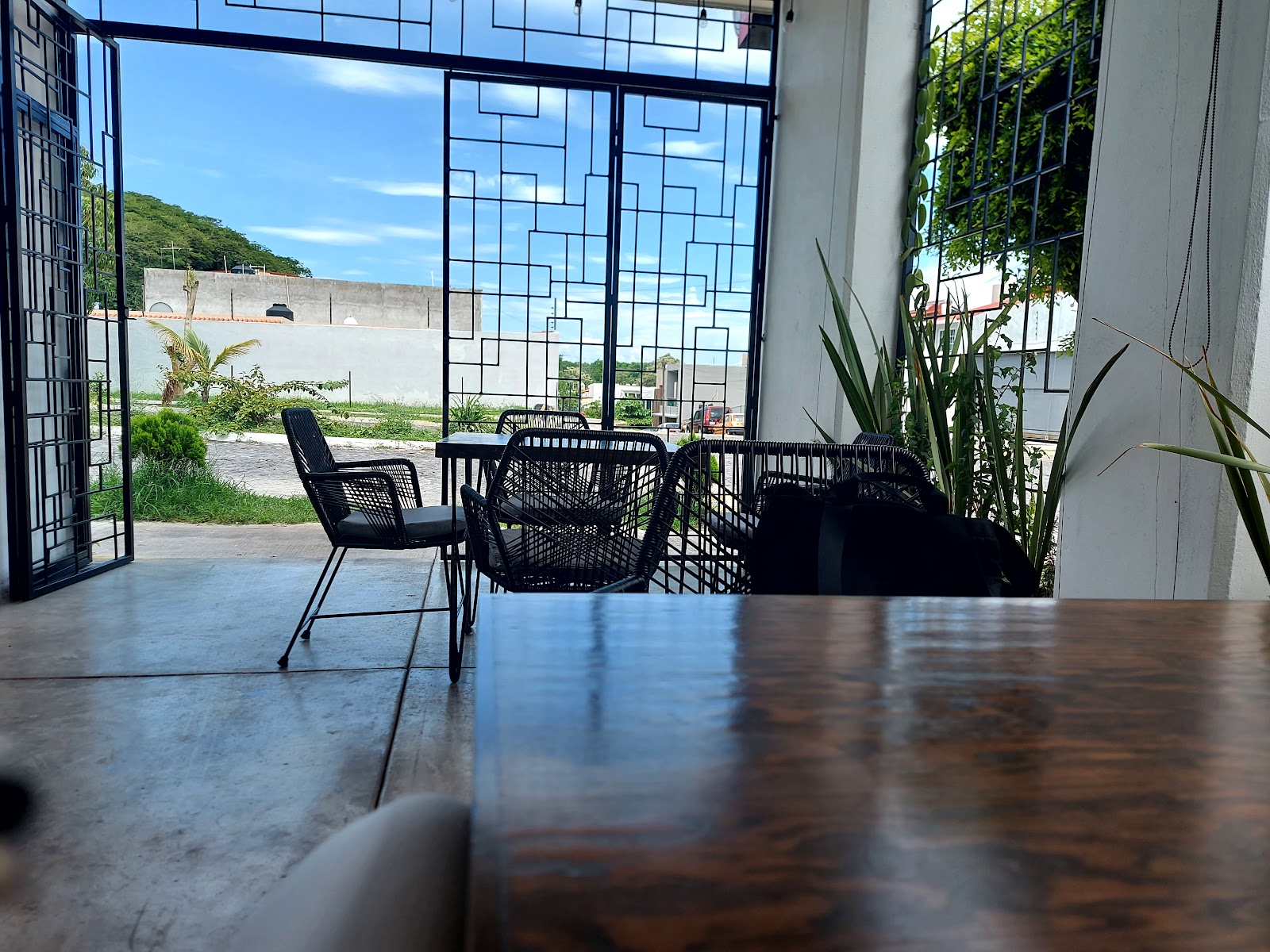 leetx-google-photo-45992-1