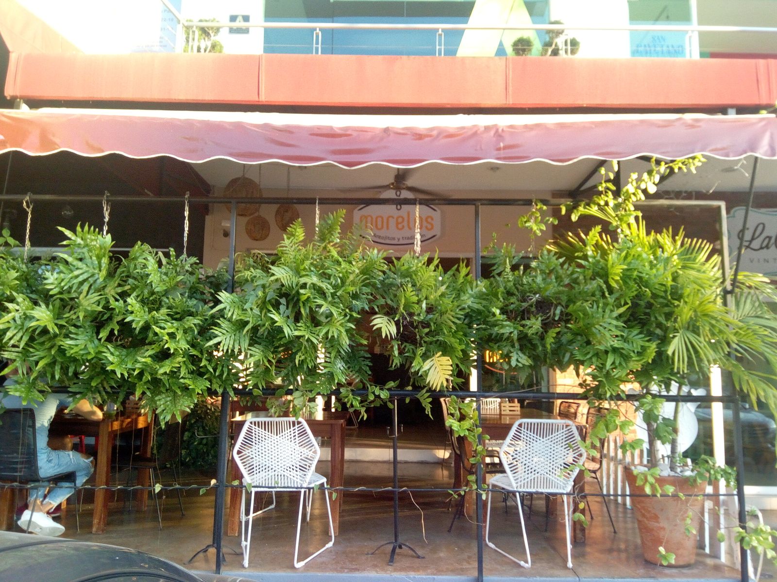 leetx-google-photo-46167-3 leetx-google-photo-46167-3