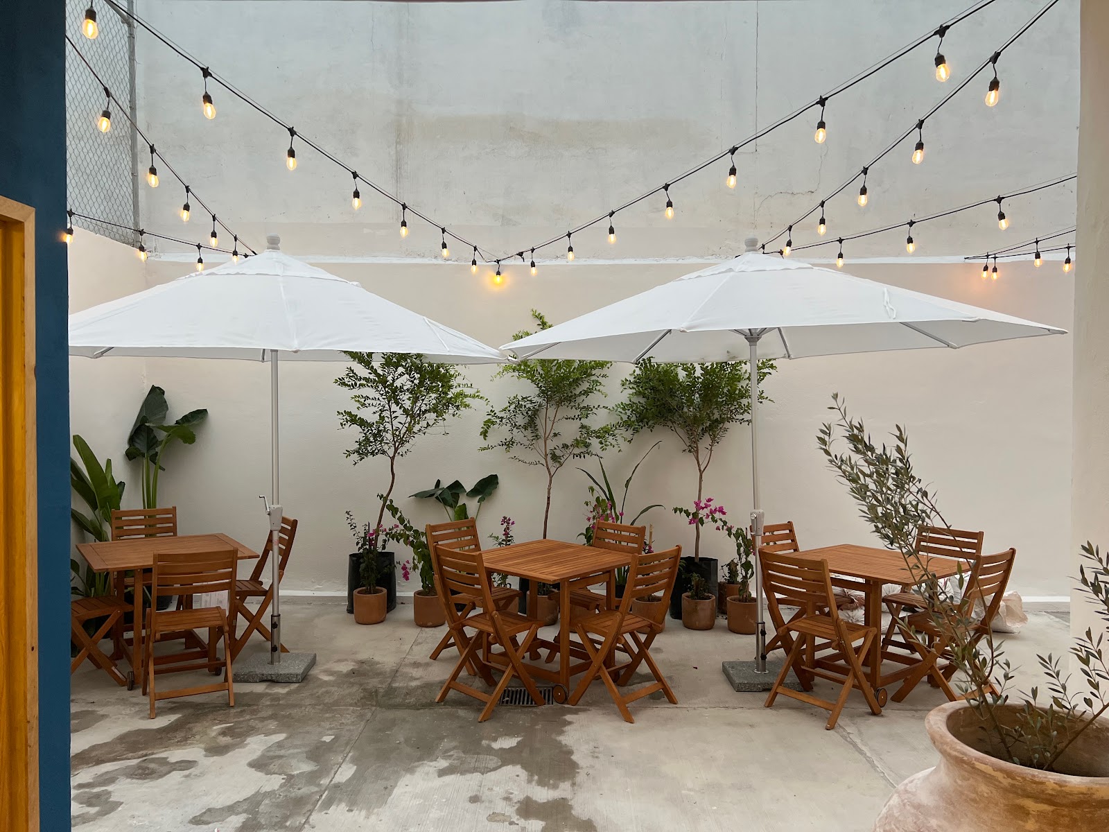 leetx-google-photo-46274-7 leetx-google-photo-46274-7