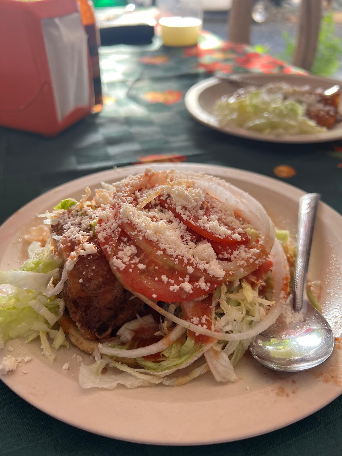 leetx-google-photo-46292-8 leetx-google-photo-46292-8