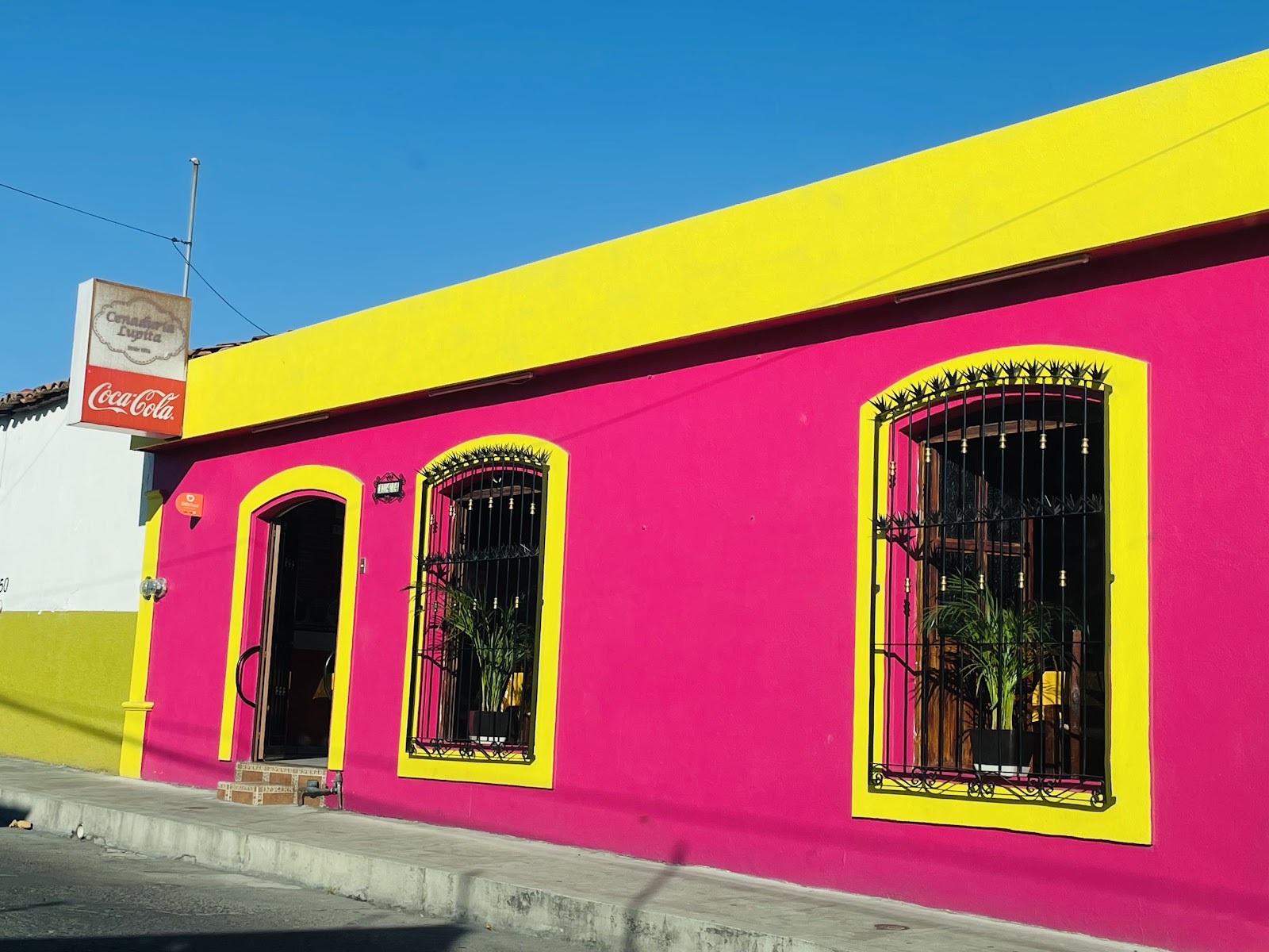 leetx-google-photo-46337-5 leetx-google-photo-46337-5