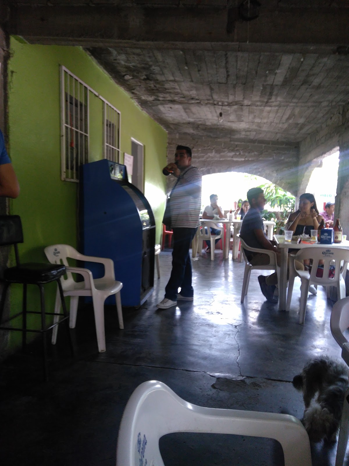 leetx-google-photo-46417-8 leetx-google-photo-46417-8