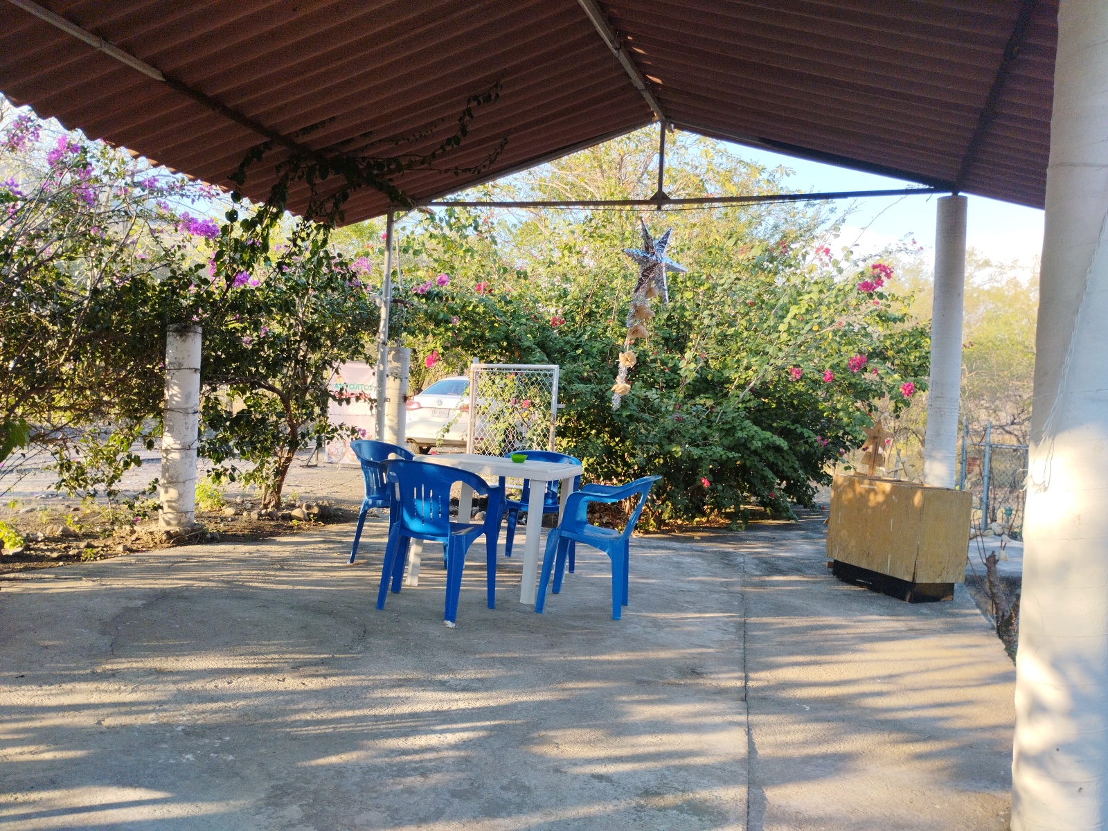 leetx-google-photo-46472-1