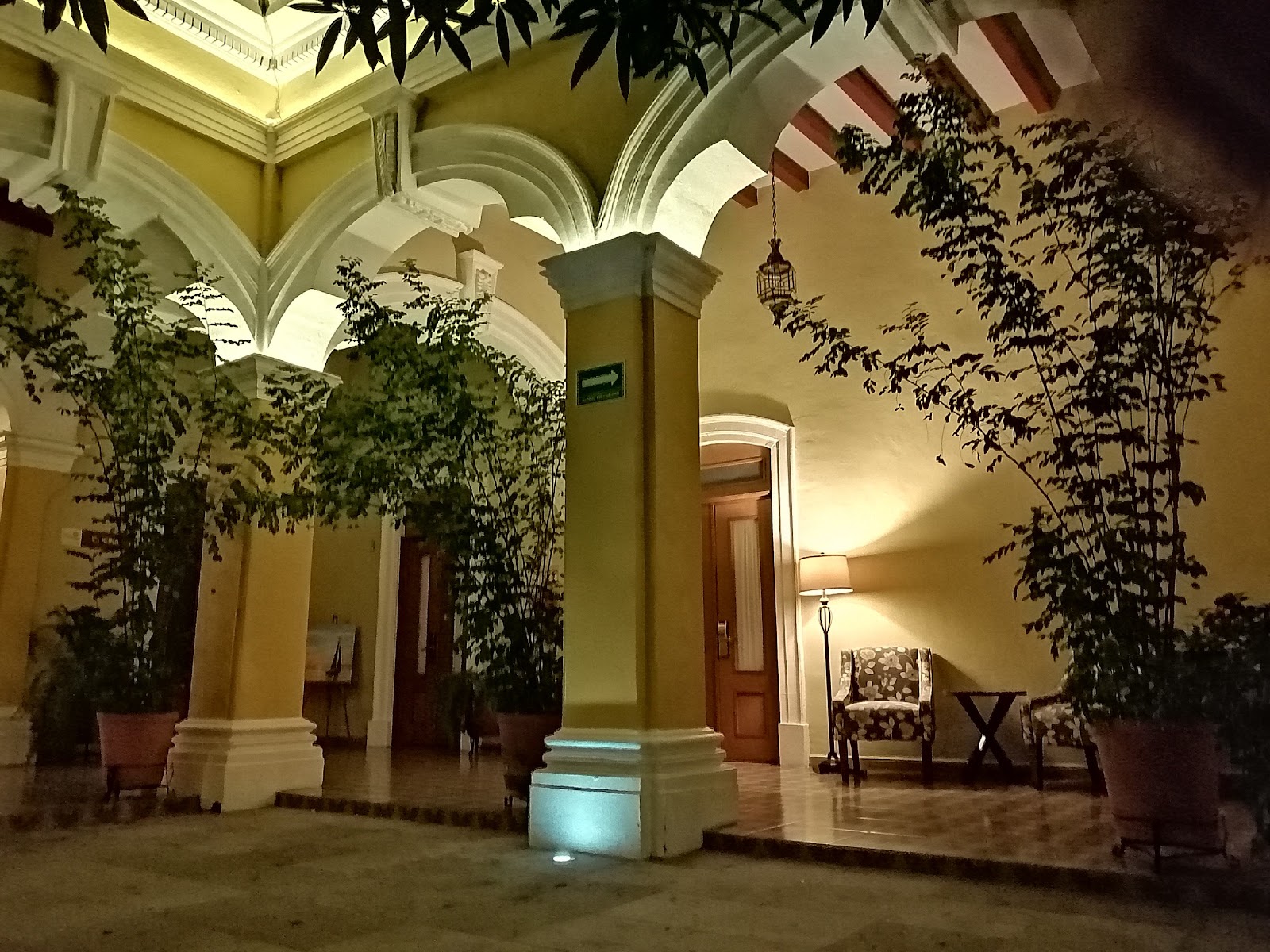 leetx-google-photo-46522-6 leetx-google-photo-46522-6