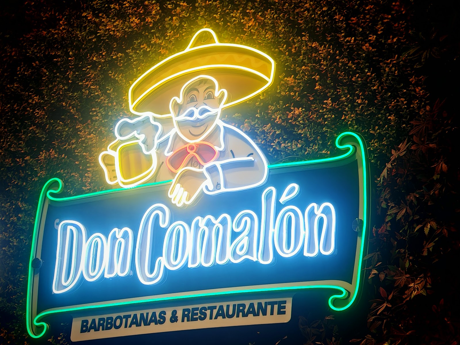 leetx-google-photo-46567-5 leetx-google-photo-46567-5