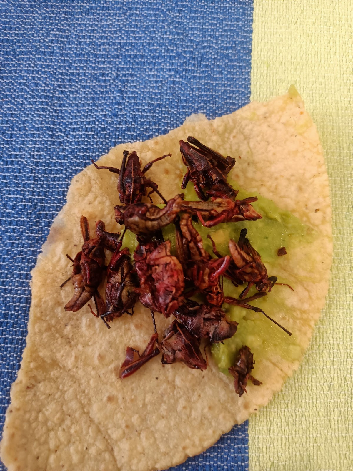 leetx-google-photo-46598-5 leetx-google-photo-46598-5