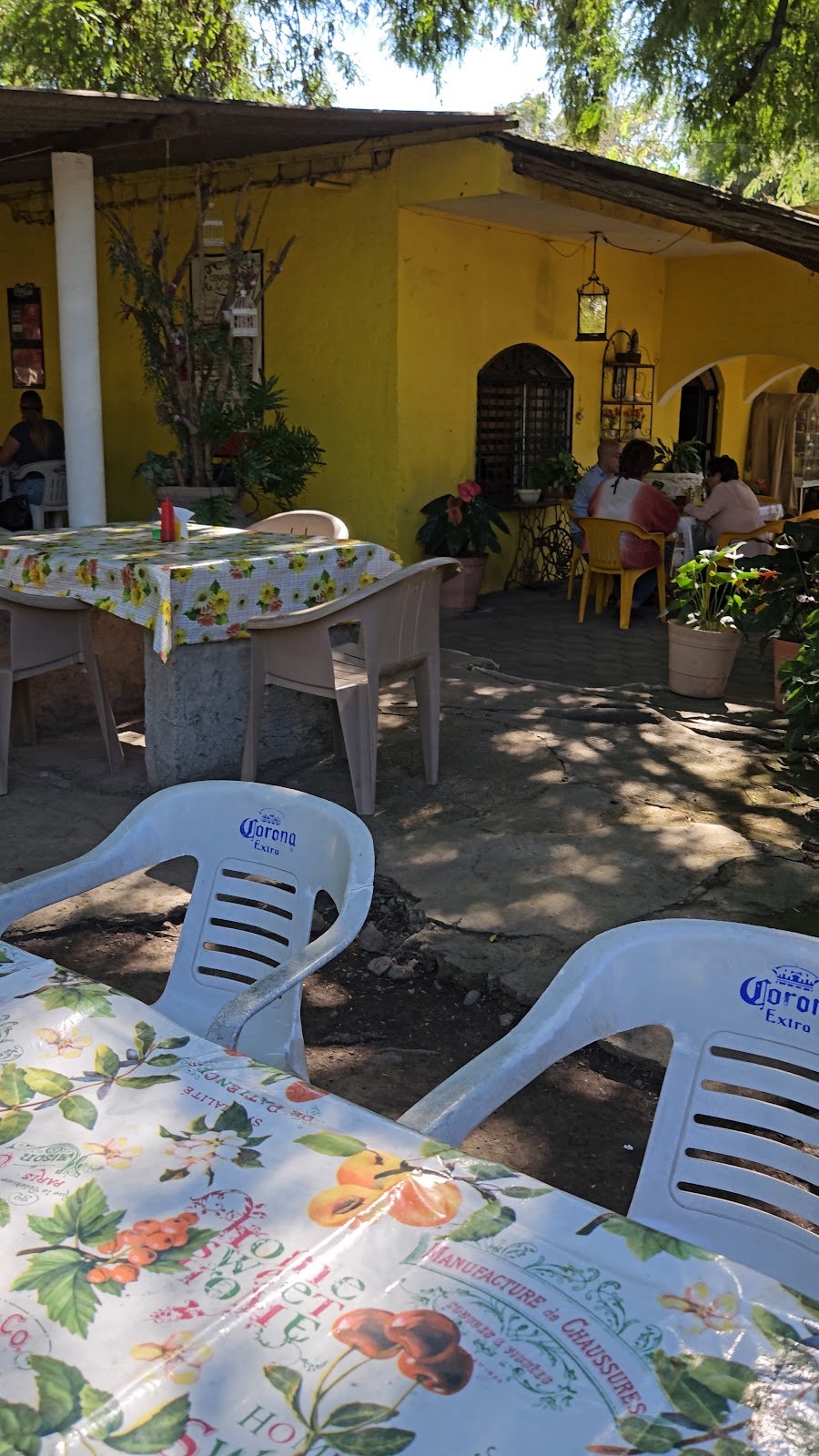 leetx-google-photo-46663-3 leetx-google-photo-46663-3