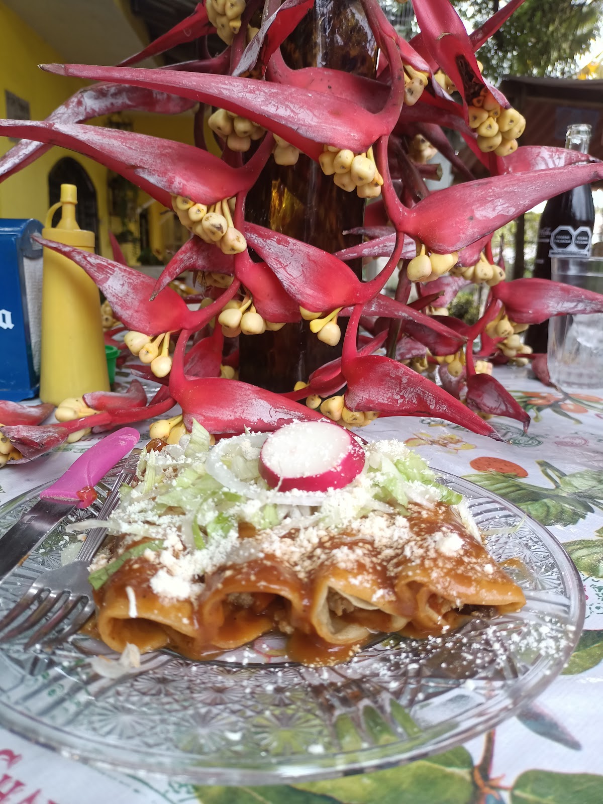 leetx-google-photo-46663-8 leetx-google-photo-46663-8