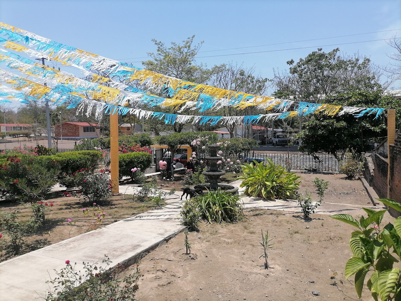 leetx-google-photo-46681-2 leetx-google-photo-46681-2