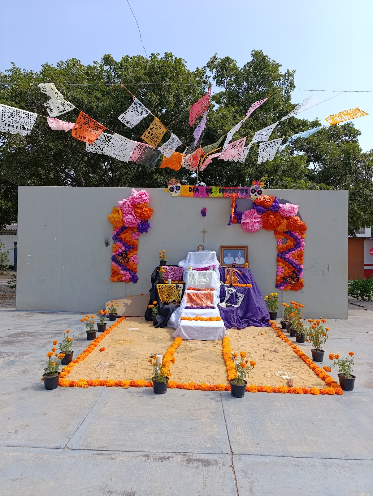 leetx-google-photo-46681-6 leetx-google-photo-46681-6