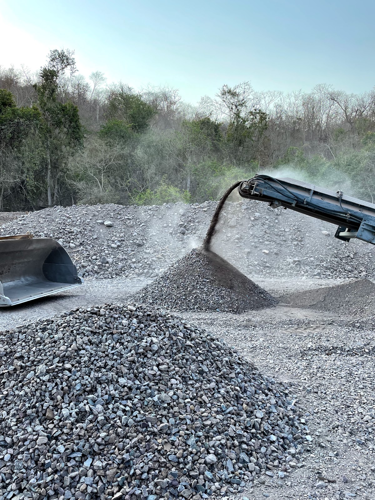 leetx-google-photo-46747-2 leetx-google-photo-46747-2