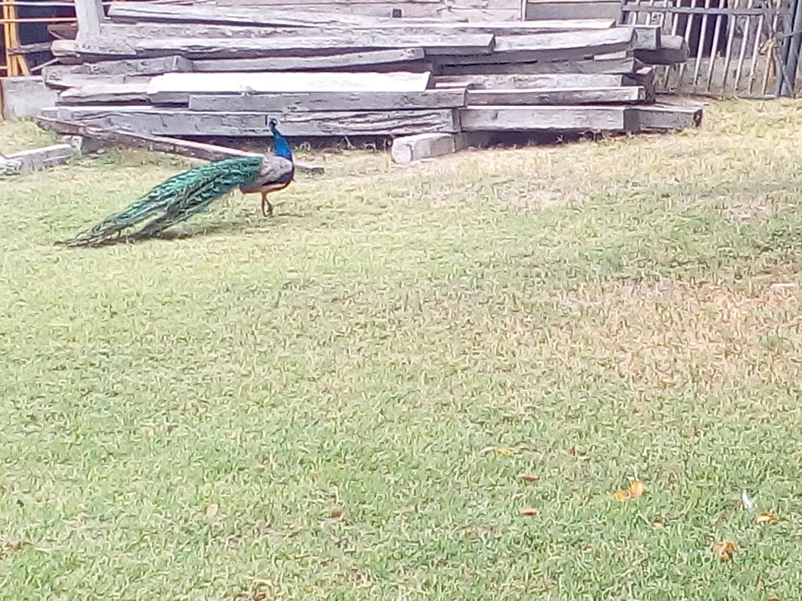 leetx-google-photo-46763-3 leetx-google-photo-46763-3