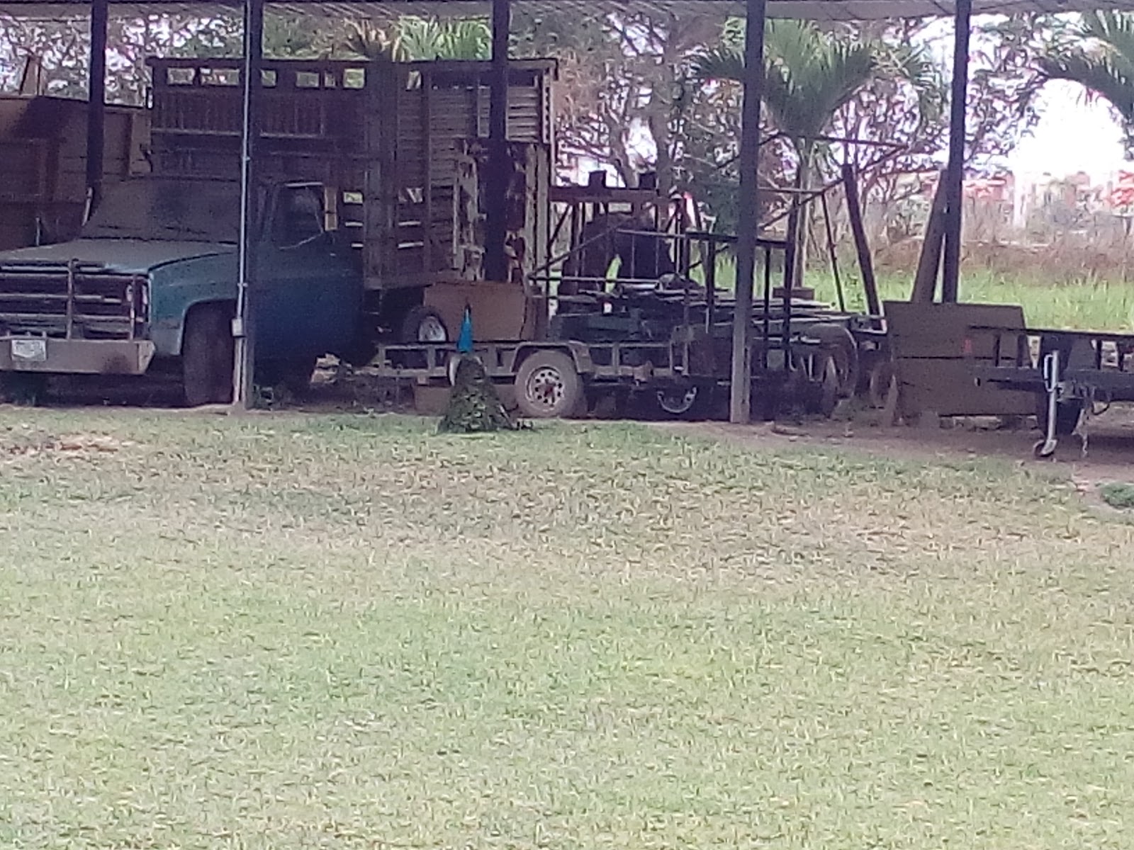 leetx-google-photo-46763-4 leetx-google-photo-46763-4