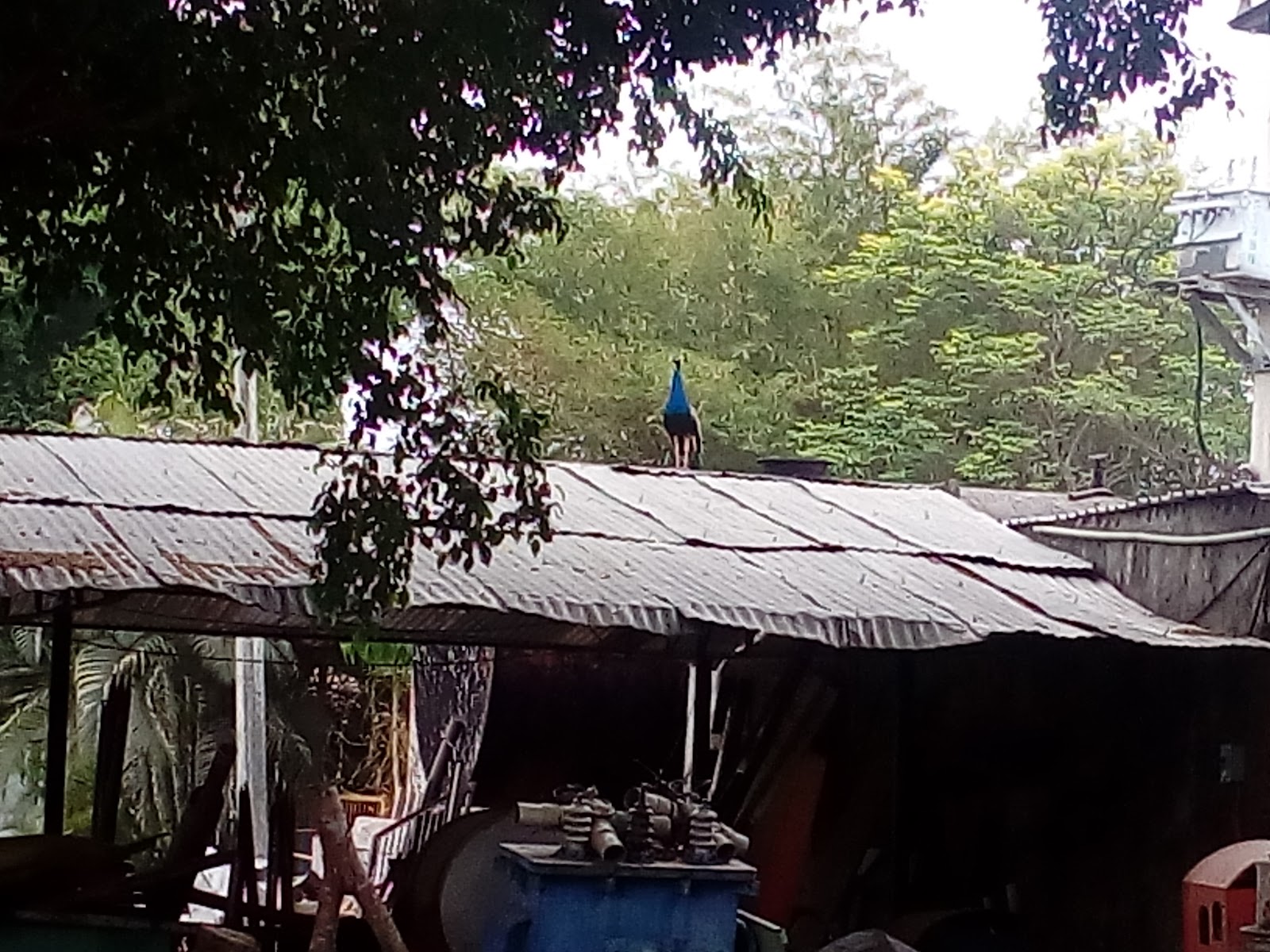 leetx-google-photo-46763-6 leetx-google-photo-46763-6