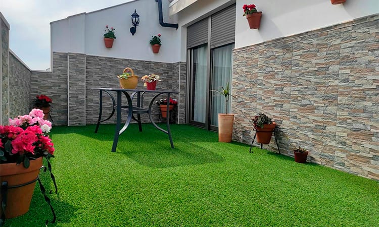 leetx-google-photo-46947-2 leetx-google-photo-46947-2