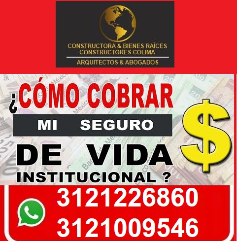 leetx-google-photo-46978-1