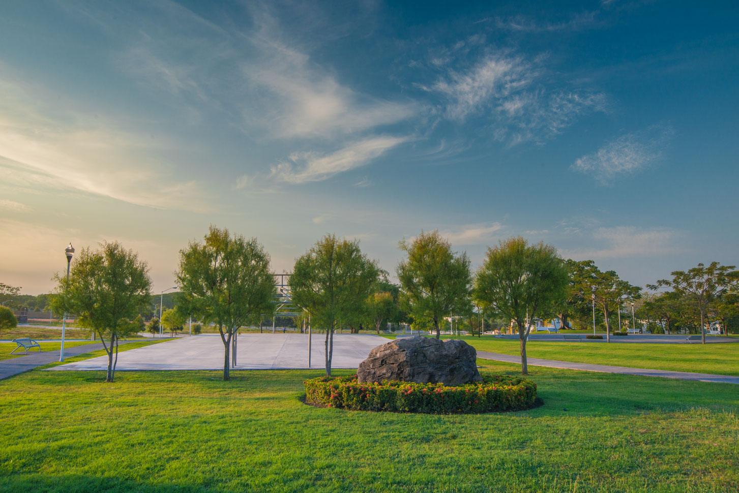 leetx-google-photo-46983-4 leetx-google-photo-46983-4