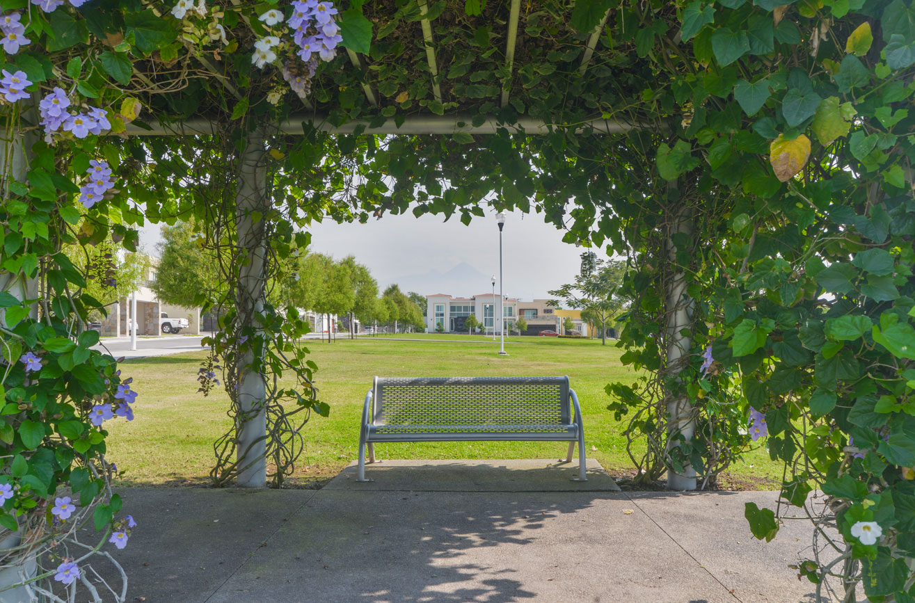 leetx-google-photo-46983-7 leetx-google-photo-46983-7