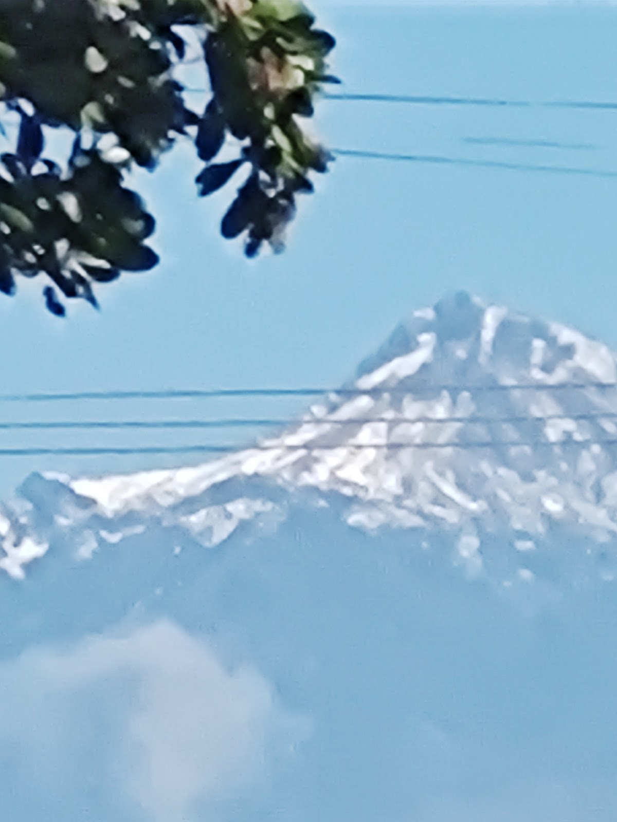 leetx-google-photo-47019-1