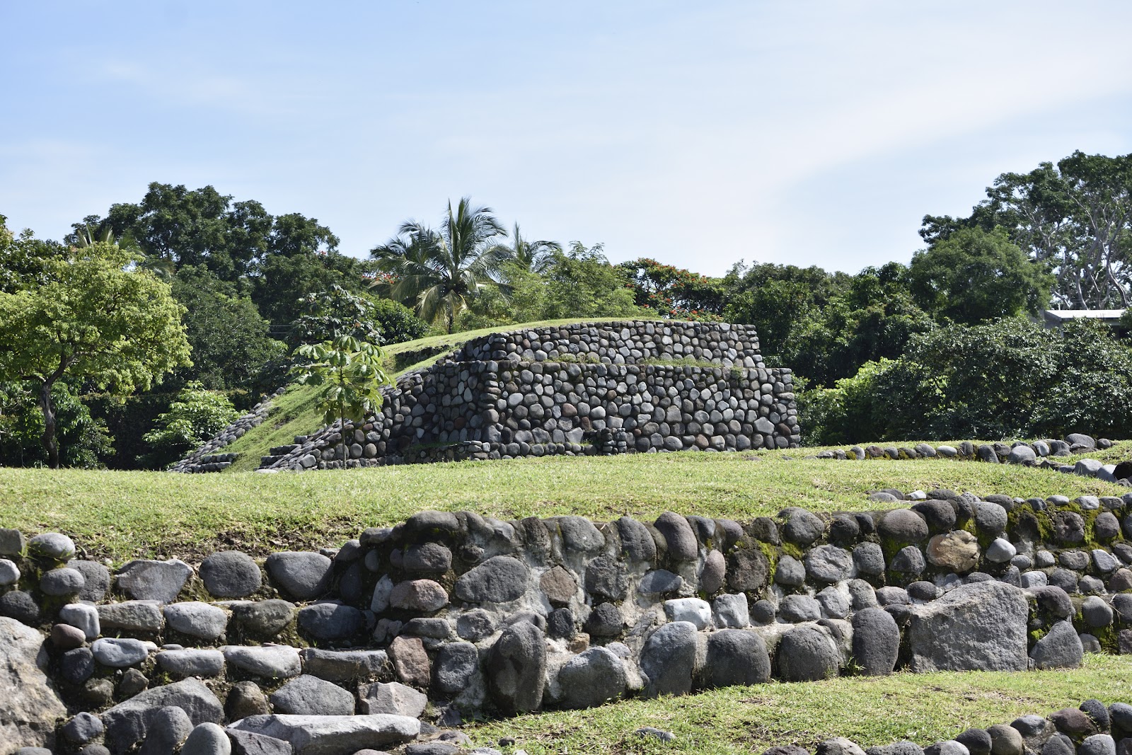 leetx-google-photo-47022-1