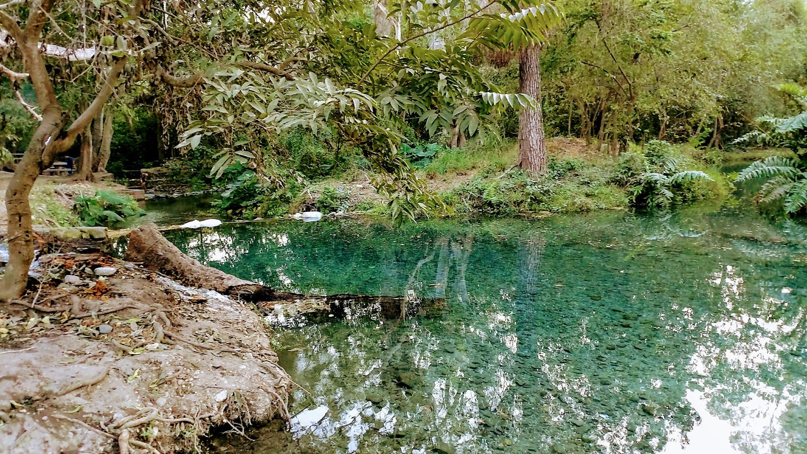 leetx-google-photo-47031-1