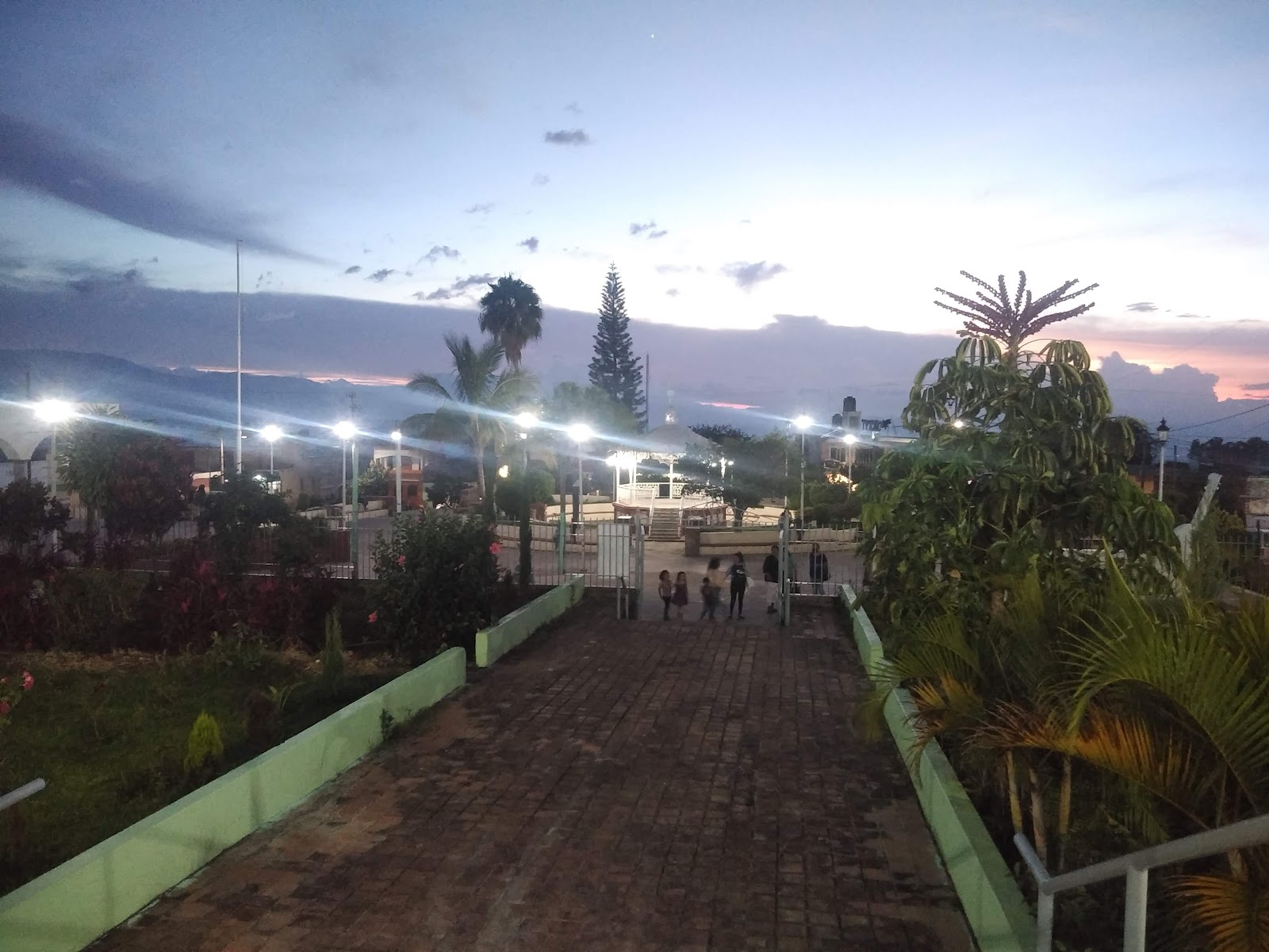 leetx-google-photo-47093-3 leetx-google-photo-47093-3