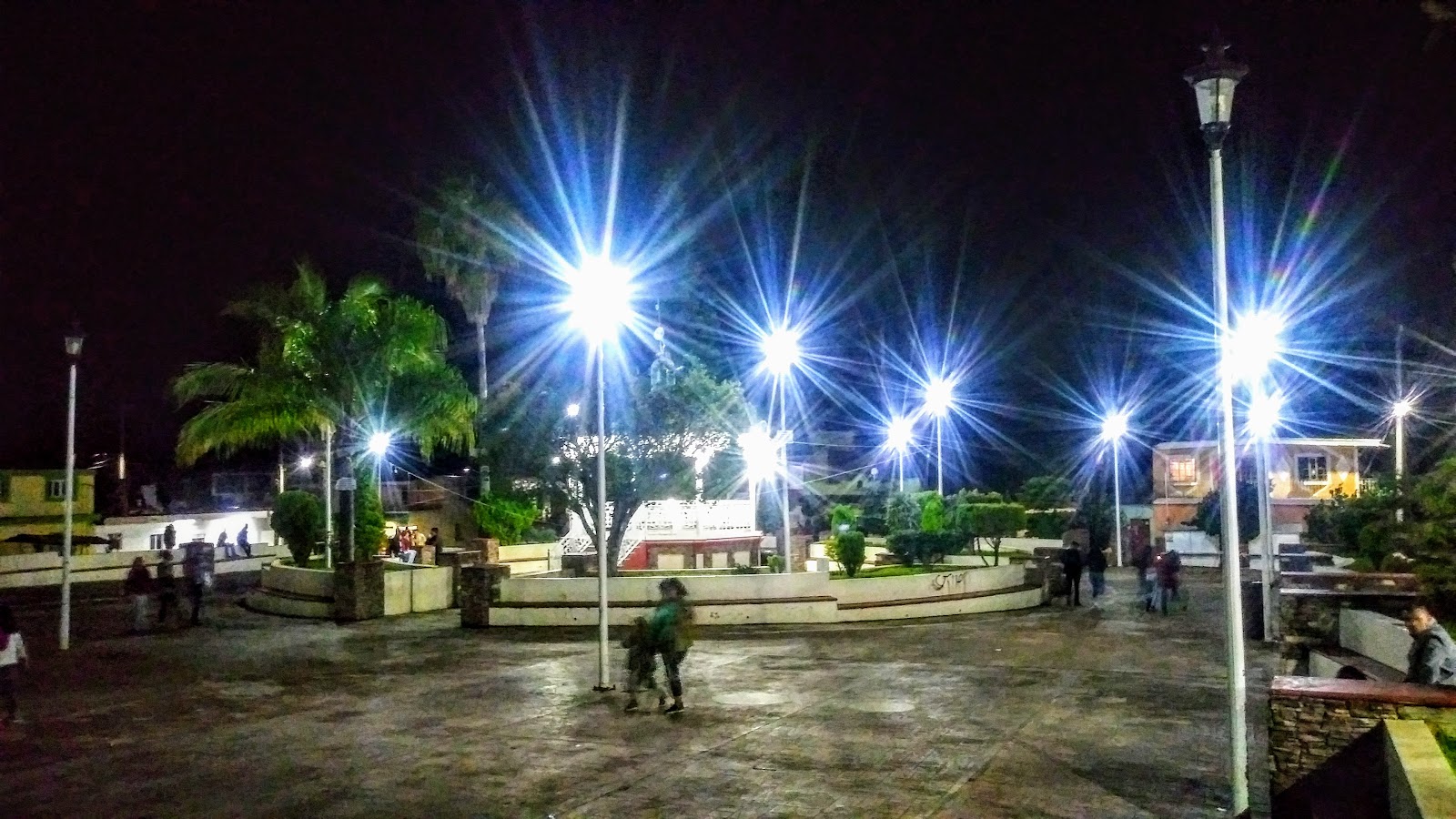 leetx-google-photo-47093-6 leetx-google-photo-47093-6