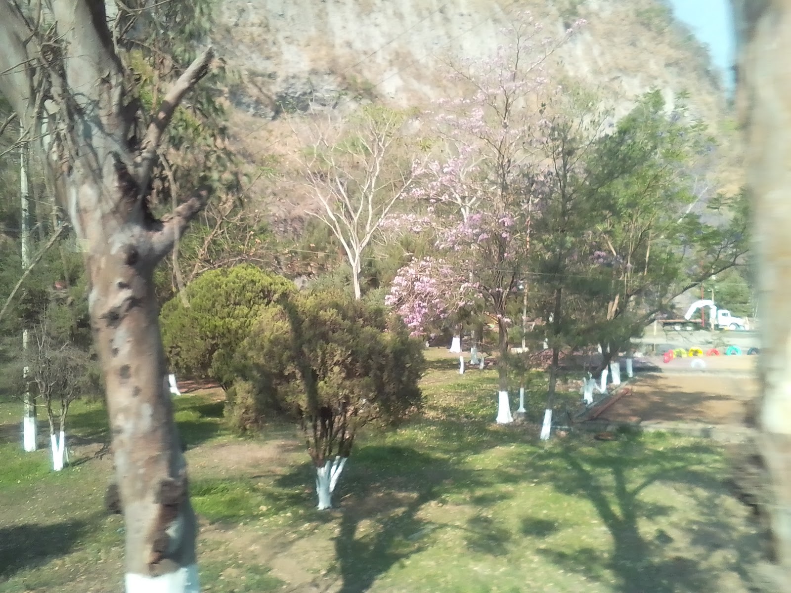 leetx-google-photo-47102-5 leetx-google-photo-47102-5