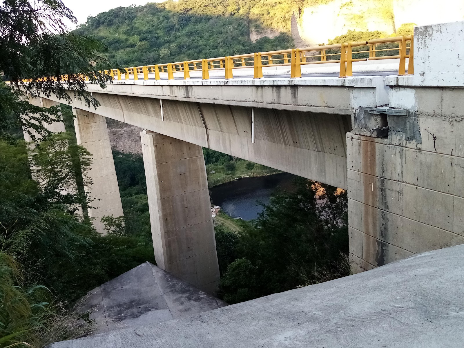 leetx-google-photo-47102-8 leetx-google-photo-47102-8