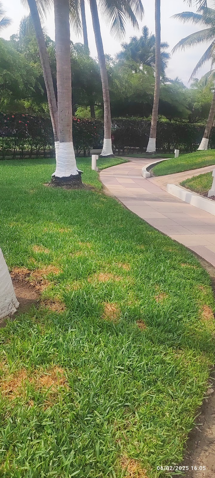 leetx-google-photo-47112-2 leetx-google-photo-47112-2