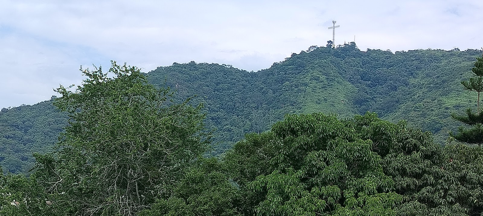 leetx-google-photo-47112-6 leetx-google-photo-47112-6