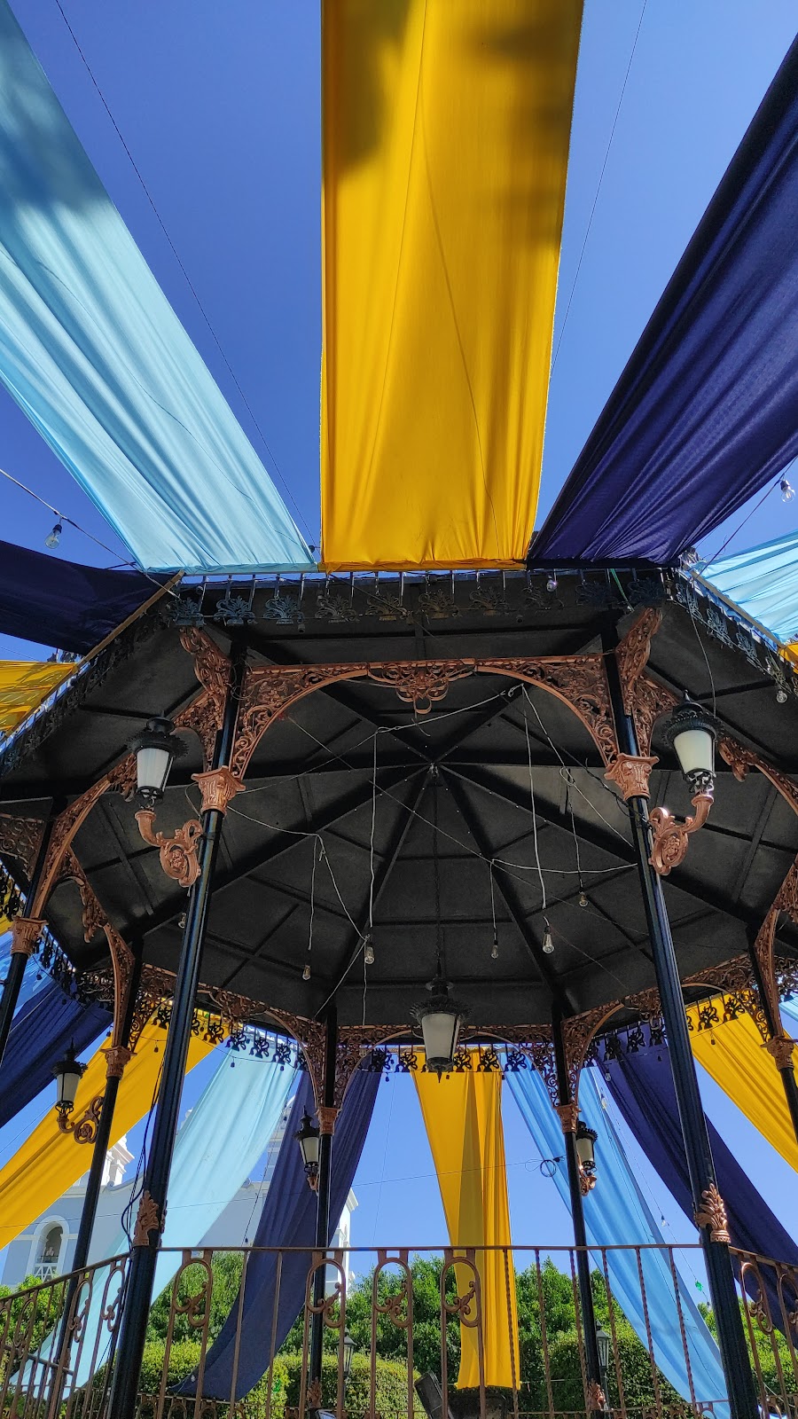 leetx-google-photo-47112-7 leetx-google-photo-47112-7