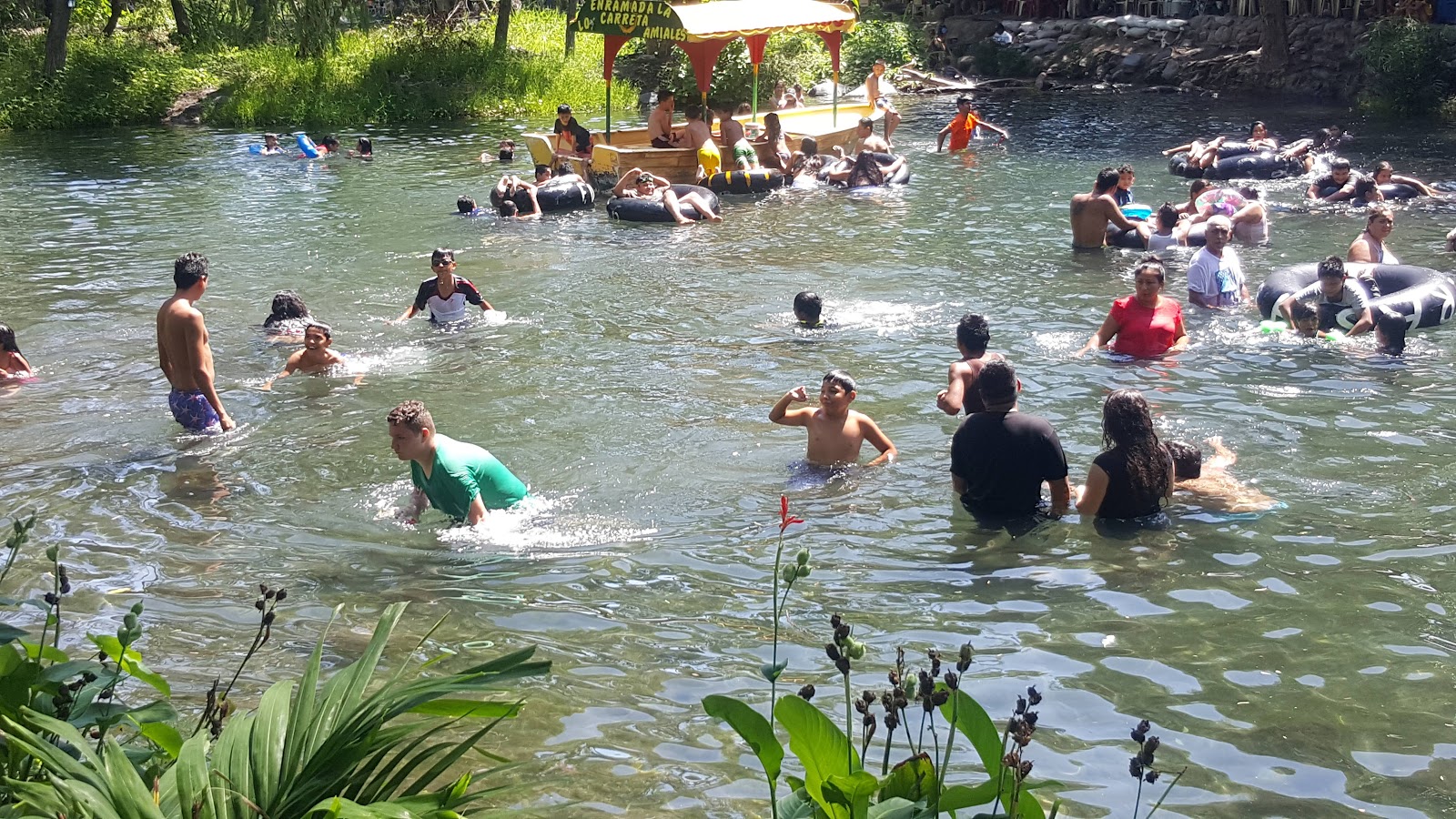 leetx-google-photo-47121-3 leetx-google-photo-47121-3