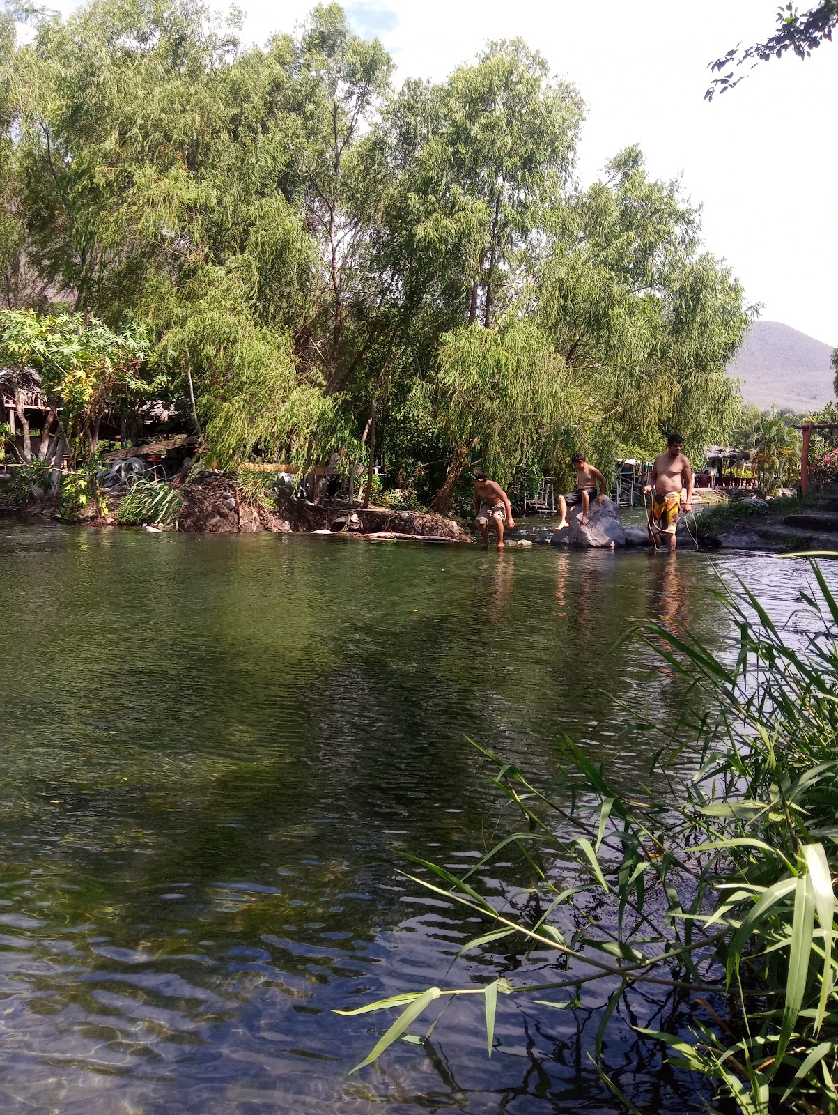 leetx-google-photo-47121-6 leetx-google-photo-47121-6