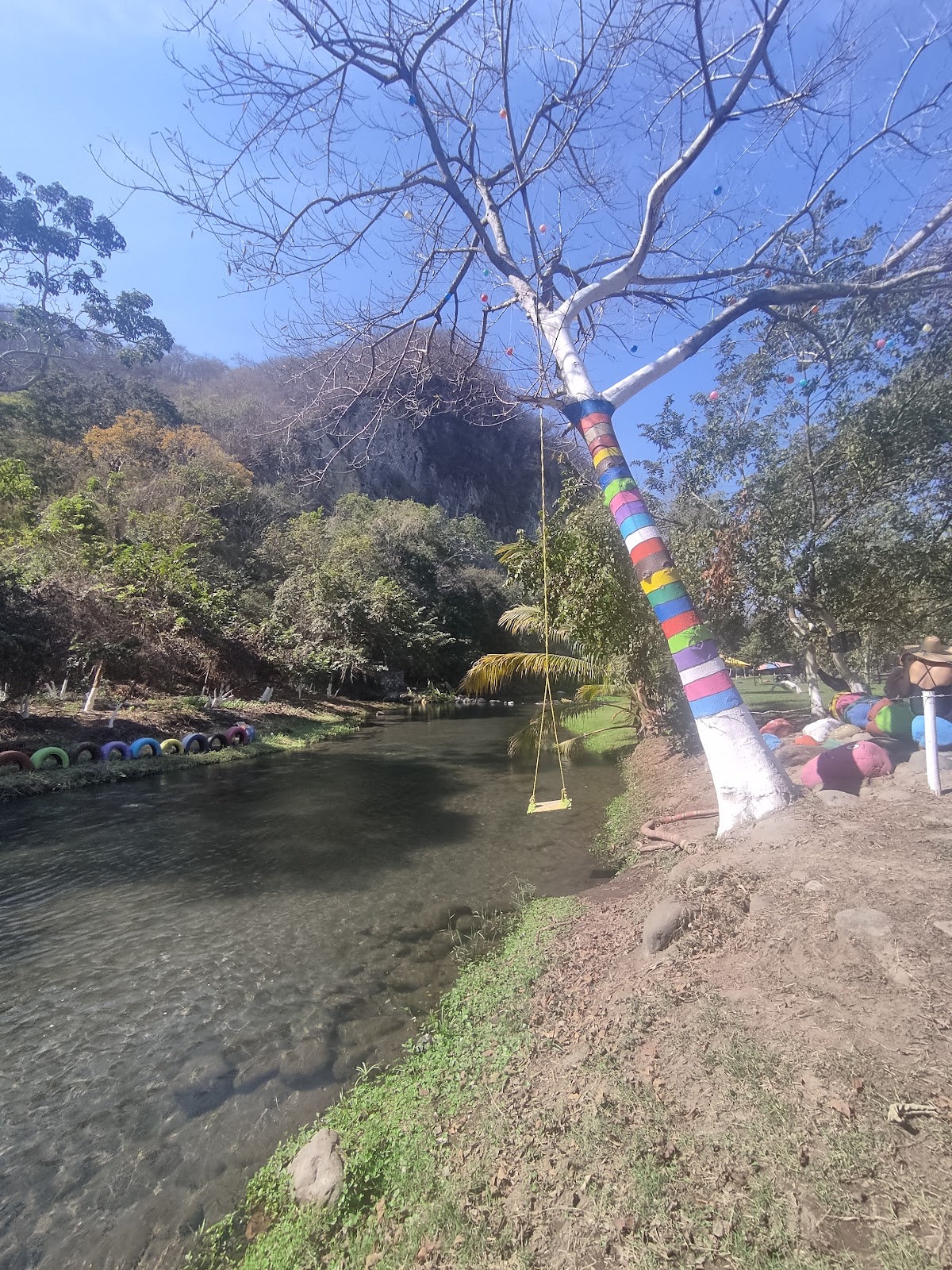 leetx-google-photo-47151-5 leetx-google-photo-47151-5