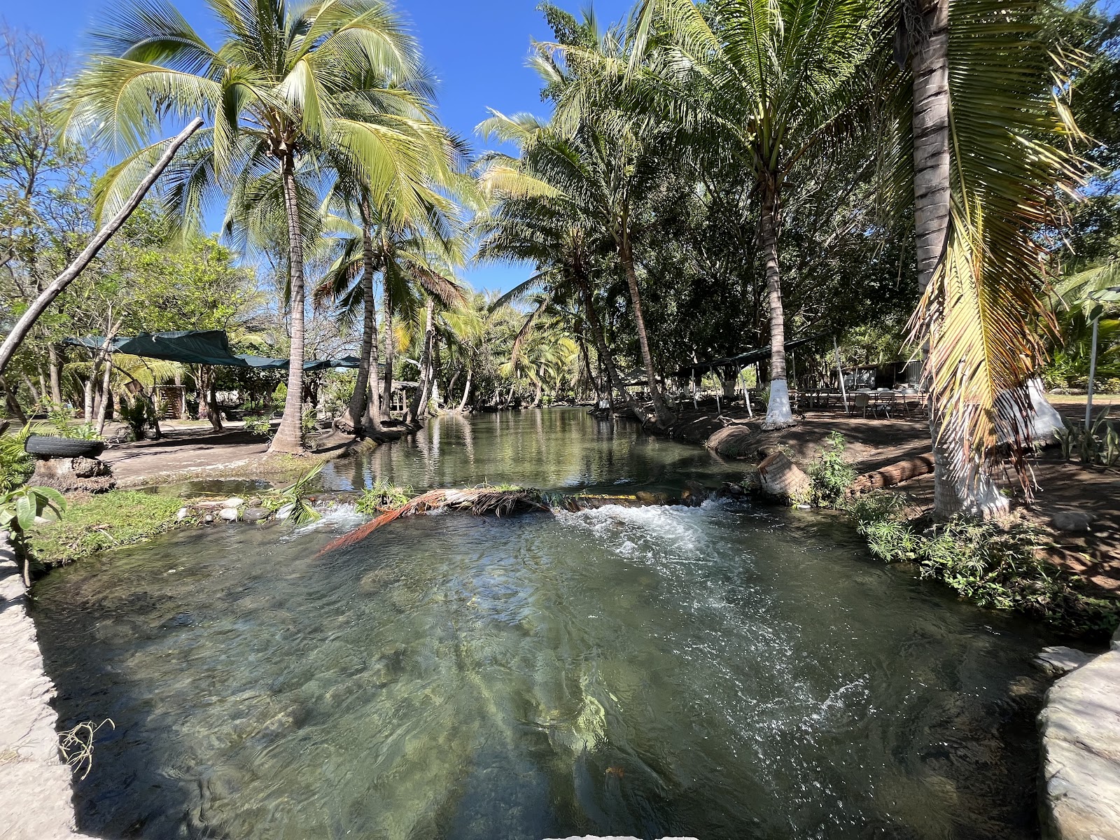 leetx-google-photo-47151-6 leetx-google-photo-47151-6