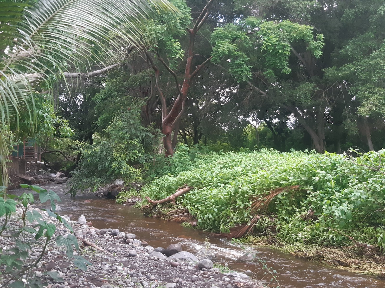 leetx-google-photo-47169-1