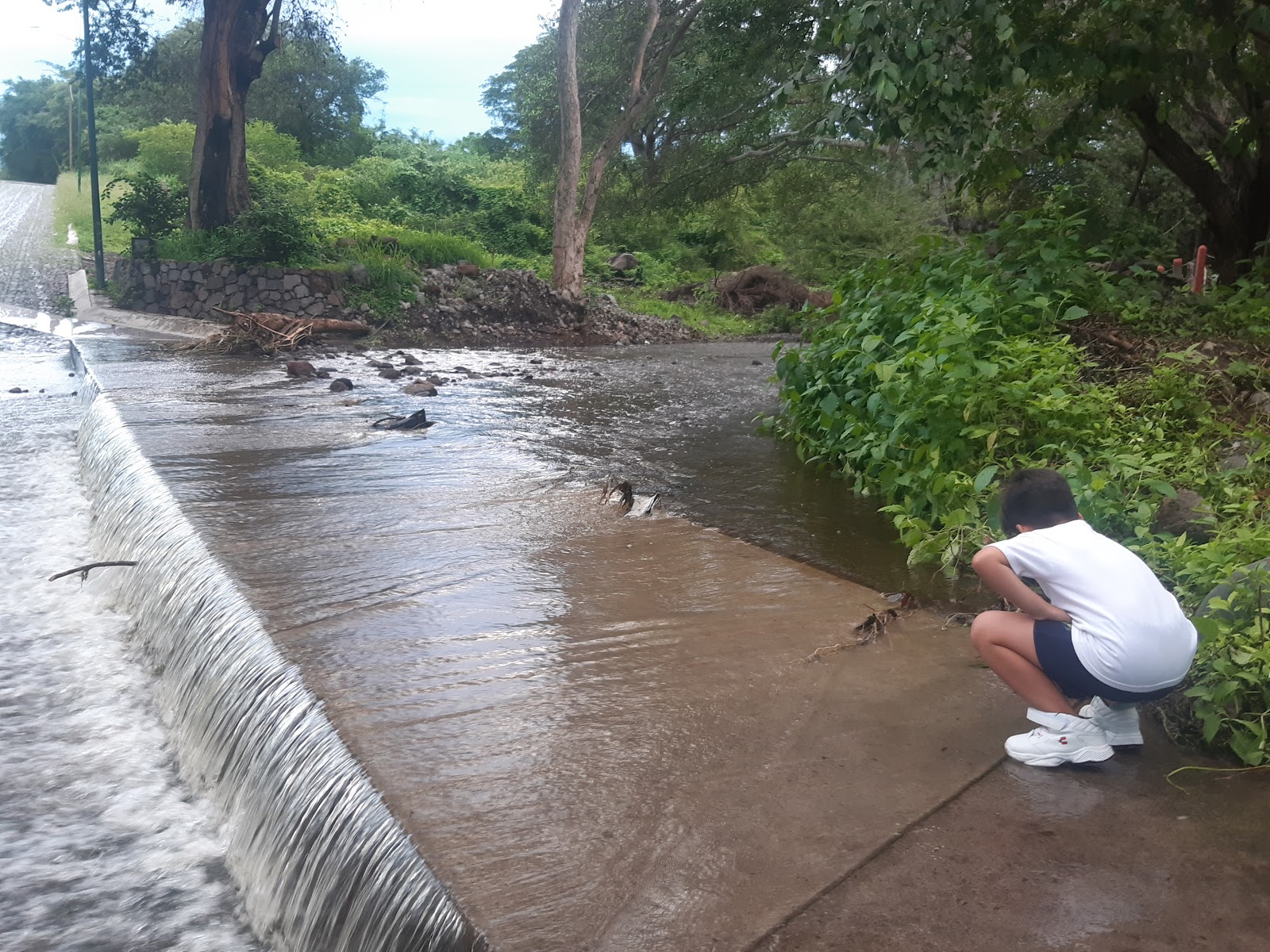 leetx-google-photo-47169-2 leetx-google-photo-47169-2