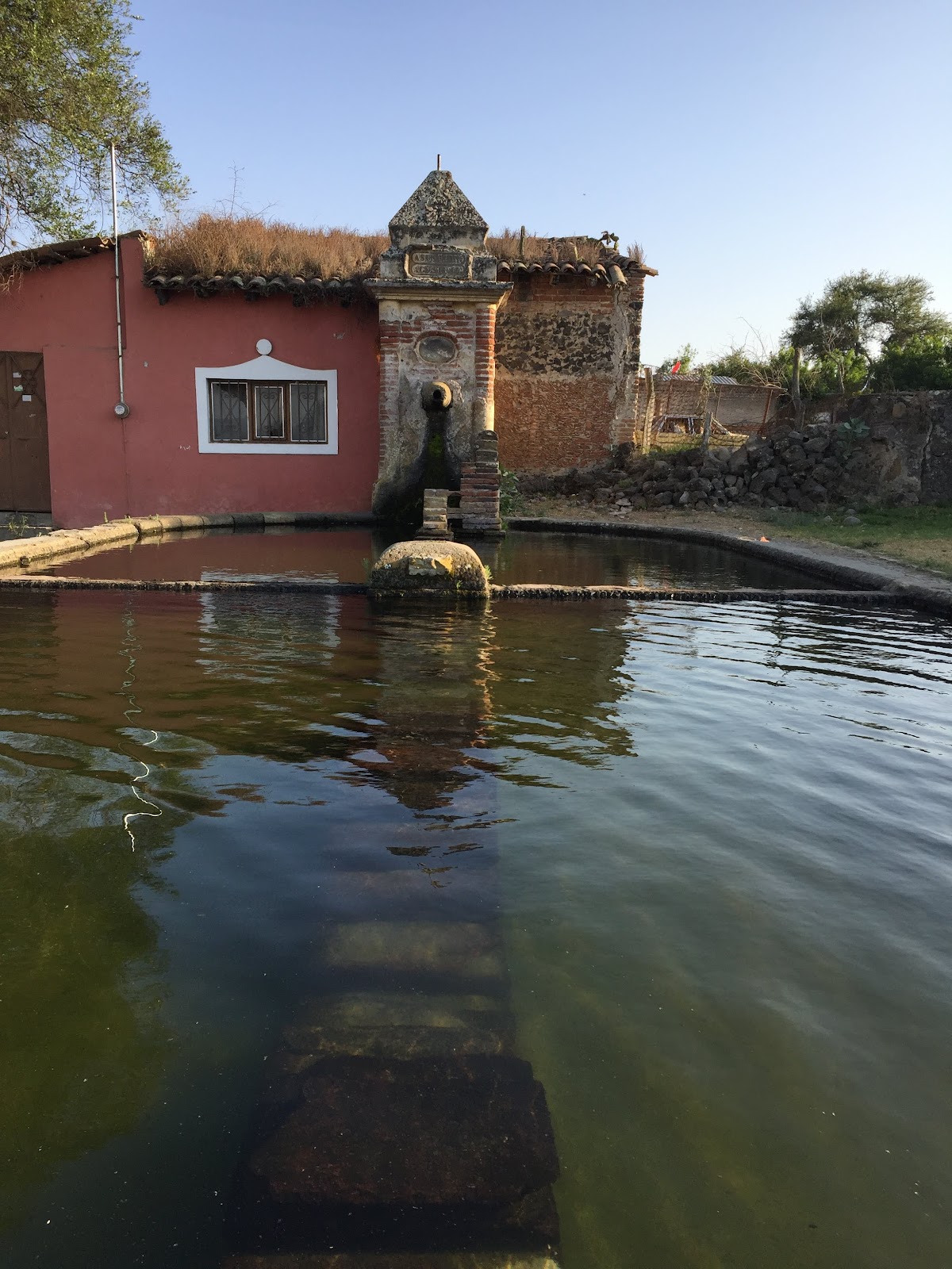 leetx-google-photo-47205-1