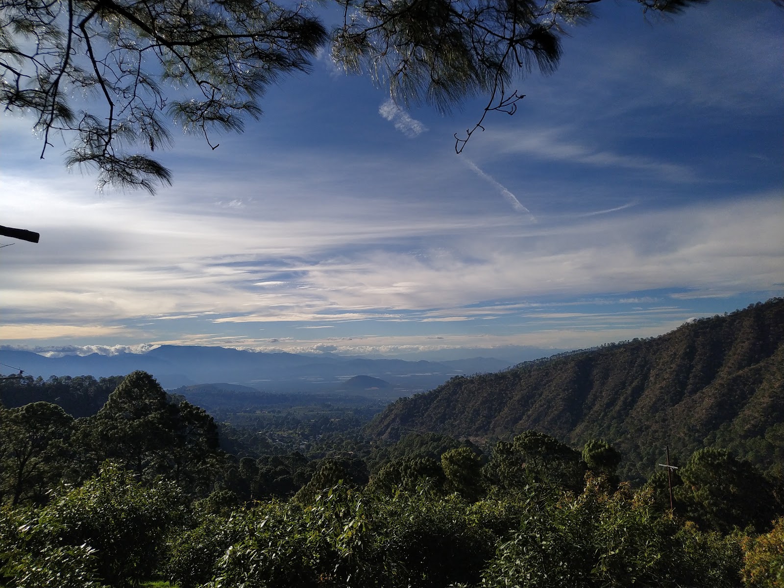 leetx-google-photo-47232-1