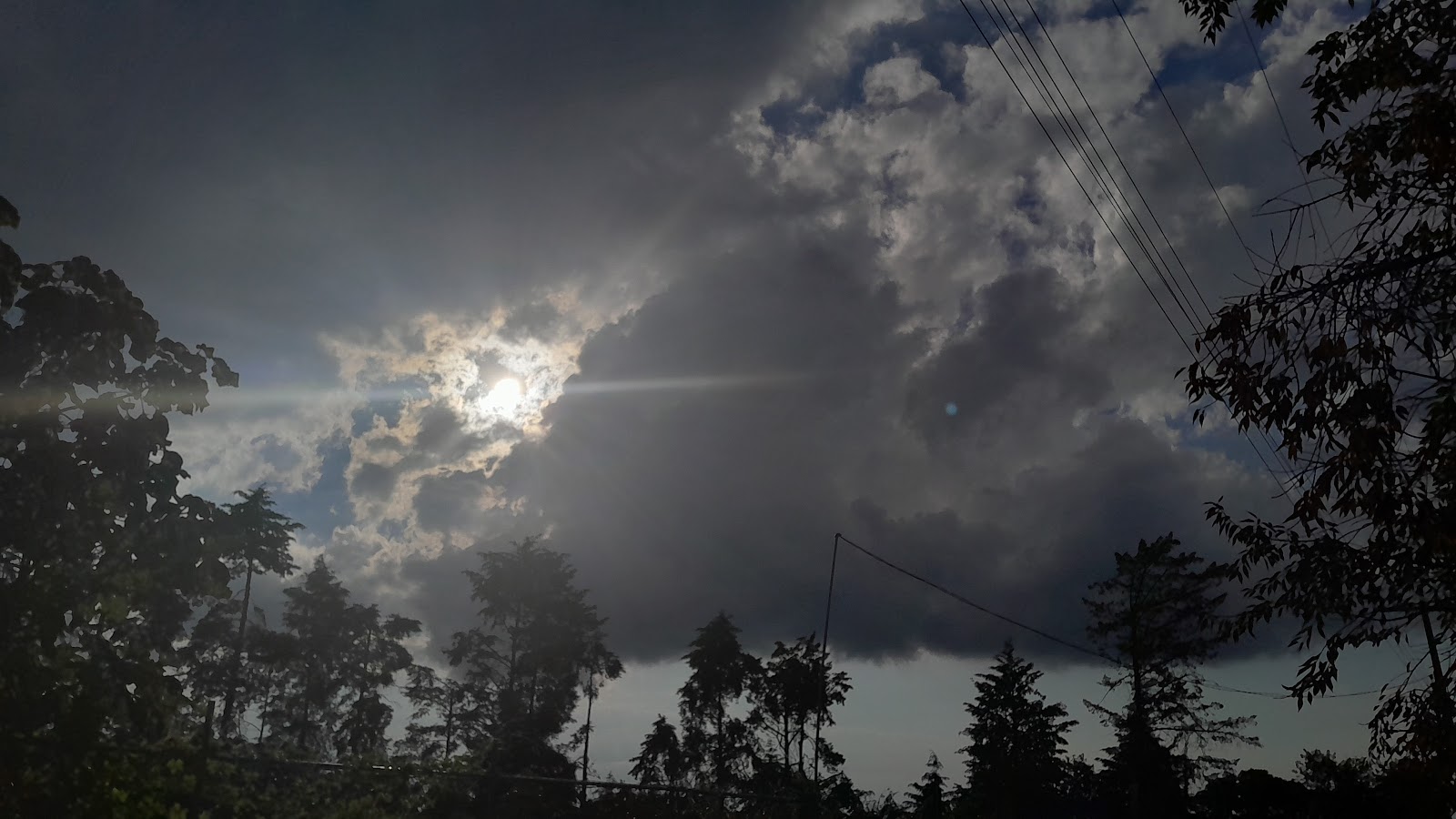 leetx-google-photo-47232-5 leetx-google-photo-47232-5