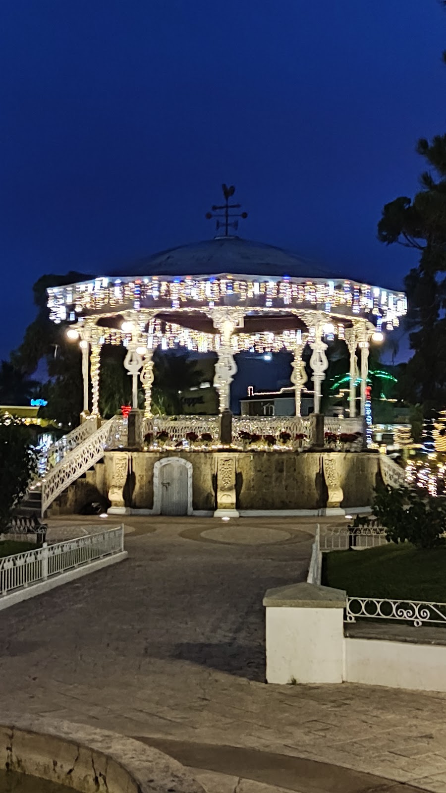 leetx-google-photo-47242-2 leetx-google-photo-47242-2