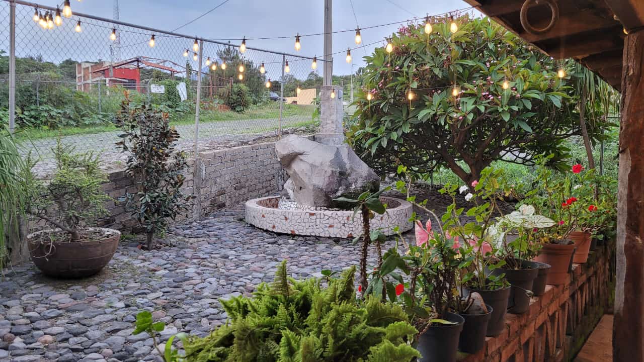 leetx-google-photo-47256-1