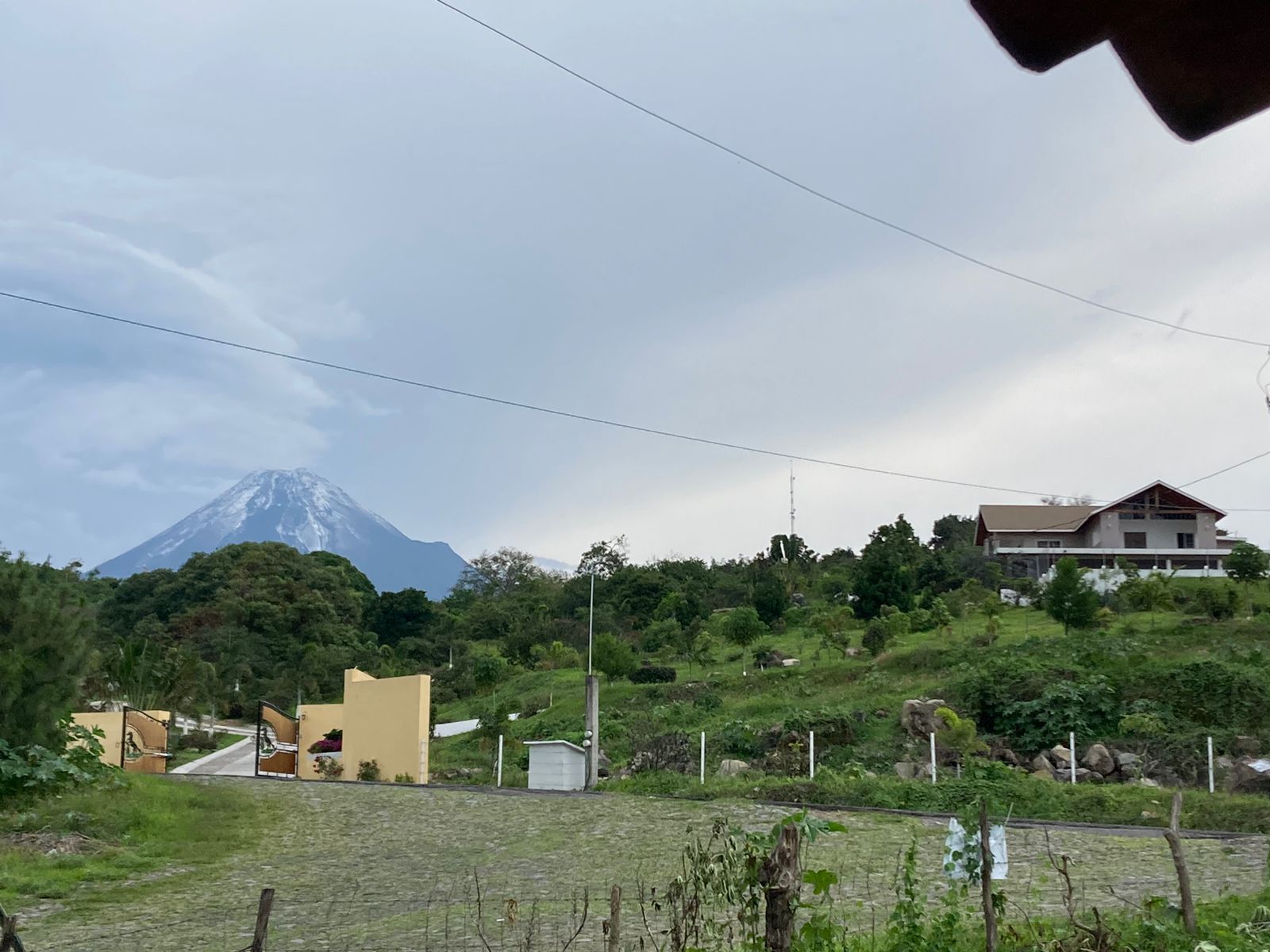 leetx-google-photo-47256-6 leetx-google-photo-47256-6