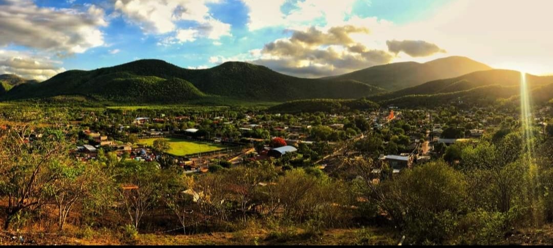 leetx-google-photo-47264-6 leetx-google-photo-47264-6